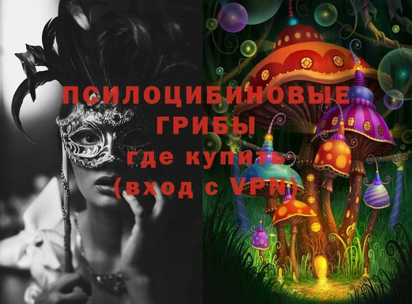 амф Арсеньев
