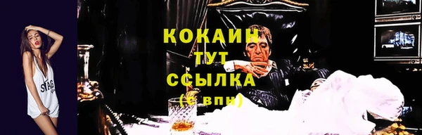 дживик Армянск