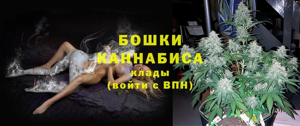 амф Арсеньев